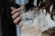 Miaou | Médaille pour Chats